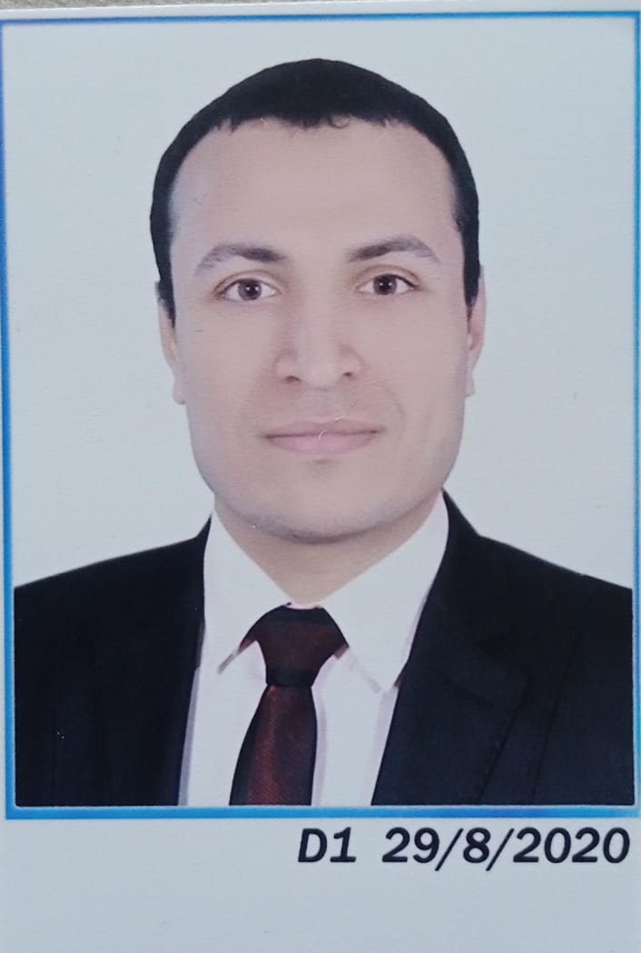 Hamdy Hassan Elsayed Abdelhady